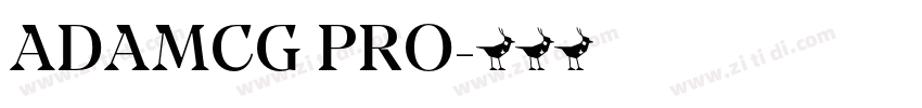 ADAMCG PRO字体转换